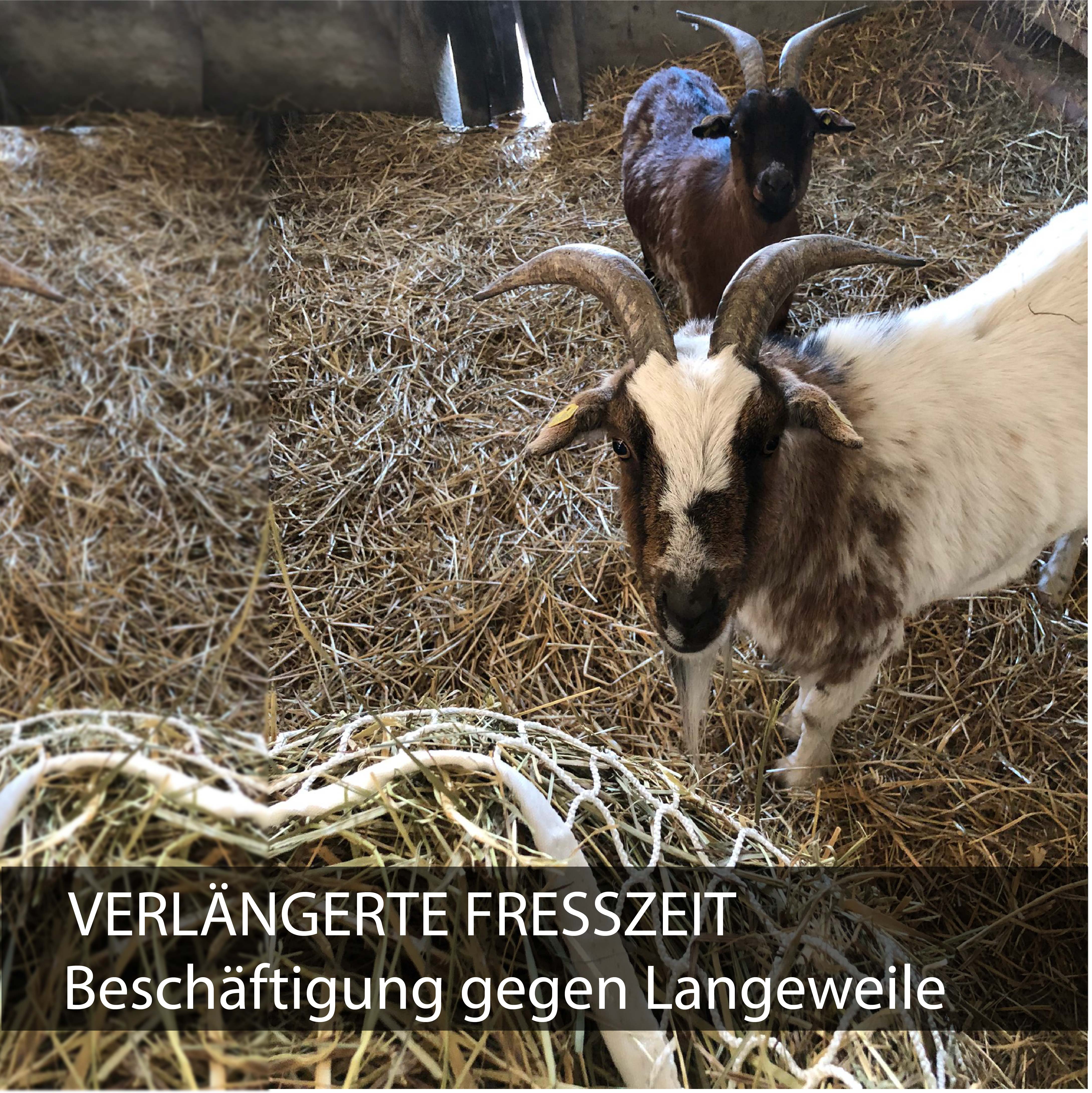 Heunetz eckig in weiß 3x3cm, 120cmx90cm, 9kg Füllgewicht
